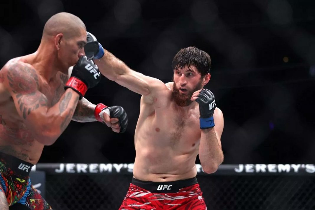 Ankalaev x Pereira UFC 320