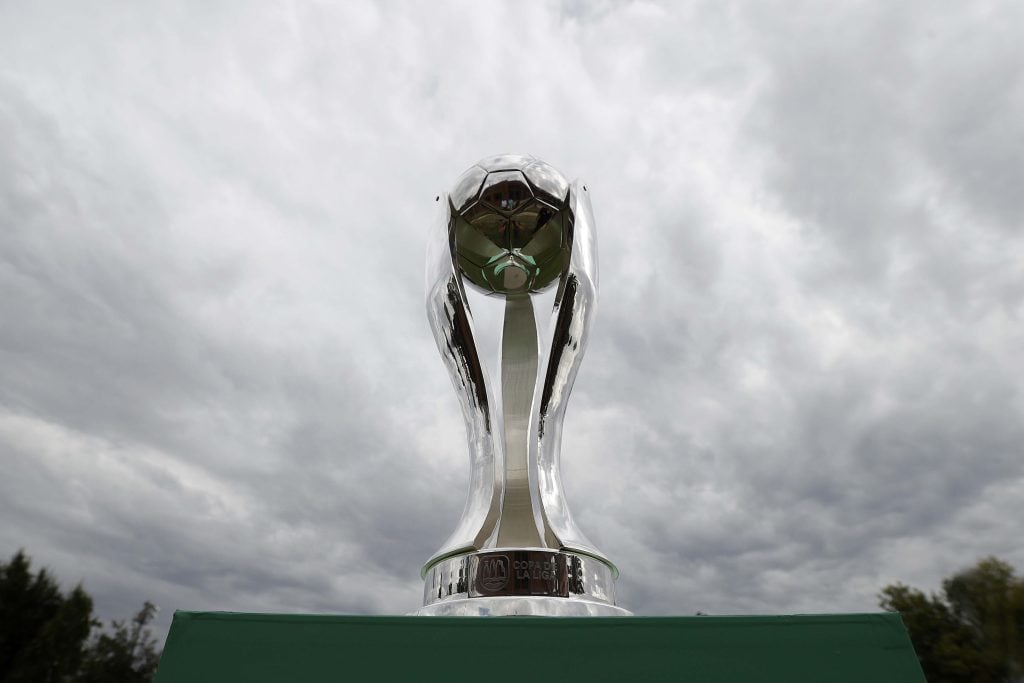 Copa de la liga chilena